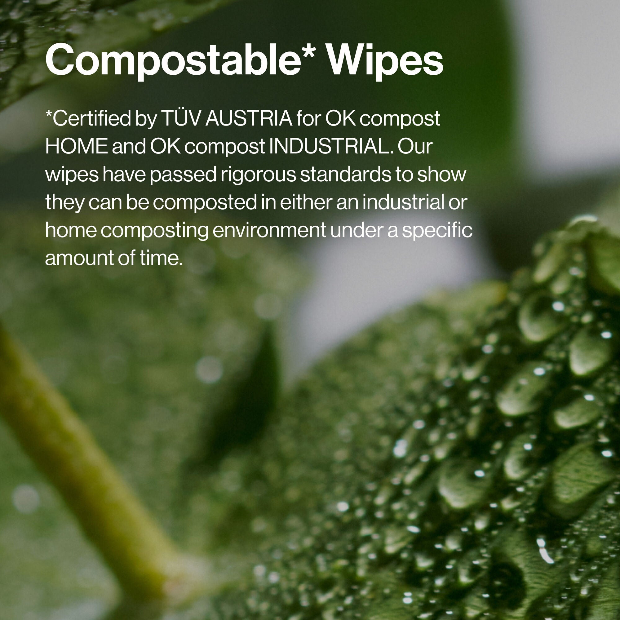 Makeup Remover Facial Wipes - Image 8