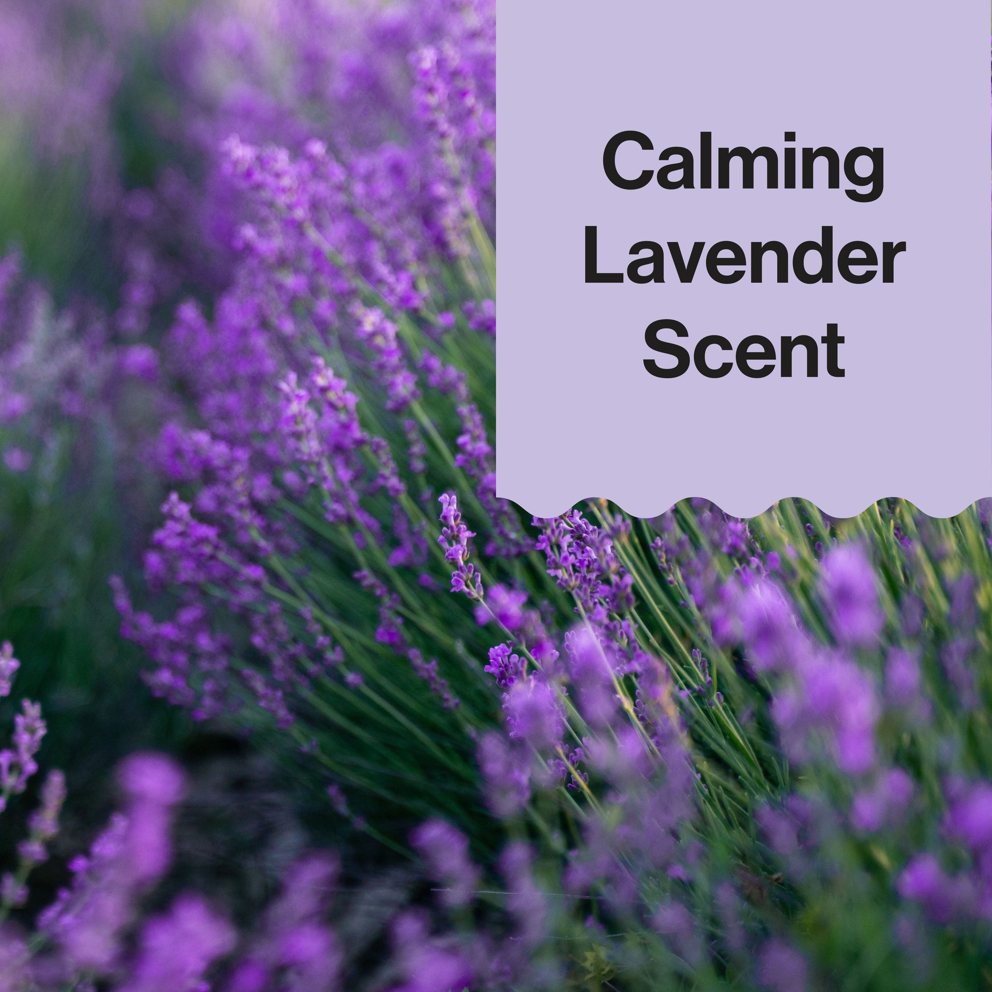 Scented Wipes, Calm - Image 7